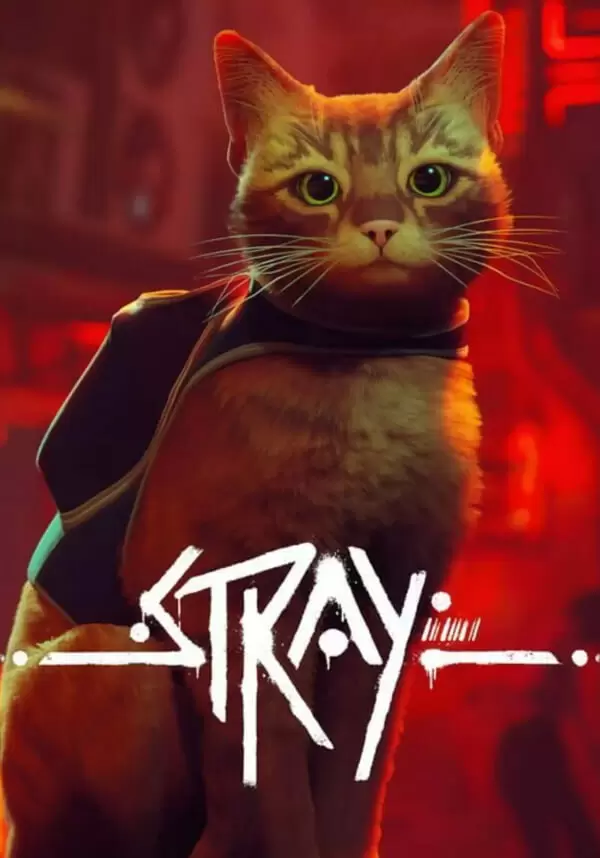 Купить STRAY