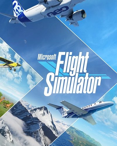 Купить Microsoft Flight Simulator 